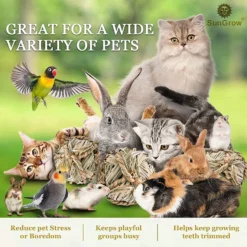 SunGrow Natural Teeth Grinding Small Pet Chew Treat Ball, 3 Count -MiniMates Shop 693238 PT2. AC SS1800 V1669179780