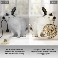 SunGrow Natural Teeth Grinding Small Pet Chew Treat Ball, 3 Count -MiniMates Shop 693238 PT3. AC SS1800 V1669179773