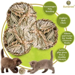 SunGrow Natural Teeth Grinding Small Pet Chew Treat Ball, 3 Count -MiniMates Shop 693238 PT4. AC SS1800 V1669178547