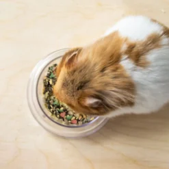 Wild Harvest Daily Blend Hamster & Gerbil Food, 2-lb Bag -MiniMates Shop 701062 PT6. AC SS1800 V1667598120