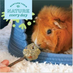 Oxbow Enriched Life Timothy Popsicle Small-Pet Toy -MiniMates Shop 704654 PT4. AC SS1800 V1668653520