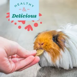 Oxbow Natural Science Vitamin C Support Small-Pet Supplement, 8.4-oz Bag -MiniMates Shop 704742 PT2. AC SS1800 V1668654745