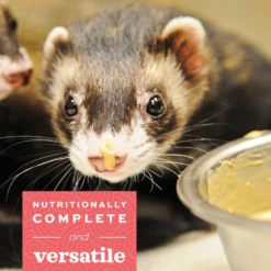 Oxbow Critical Care Carnivore Small-Pet Supplement -MiniMates Shop 704838 PT3. AC SS1800 V1668654457