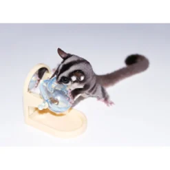 Exotic Nutrition Tilt-N-Treat Sugar Glider & Mouse Treat Dispenser -MiniMates Shop 710262 PT4. AC SS1800 V1668196021