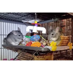 Exotic Nutrition Mobile Forager Sugar Glider & Mouse Treat Dispenser -MiniMates Shop 710278 PT3. AC SS1800 V1668198322