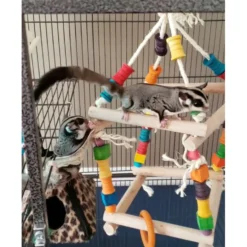 Exotic Nutrition Jungle Gym Sugar Glider & Mouse Toy -MiniMates Shop 710294 PT3. AC SS1800 V1668198381