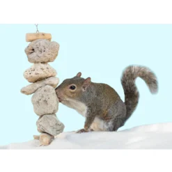 Exotic Nutrition Pumice Hanging Sugar Glider & Mouse Chew Toy 7 Exotic Nutrition Pumice Hanging Sugar Glider & Mouse Chew Toy -MiniMates Shop 710310 PT2. AC SS1800 V1668196958