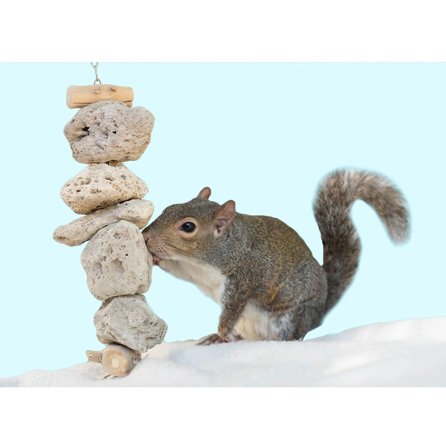 Exotic Nutrition Pumice Hanging Sugar Glider & Mouse Chew Toy 3 Exotic Nutrition Pumice Hanging Sugar Glider & Mouse Chew Toy - Image 3