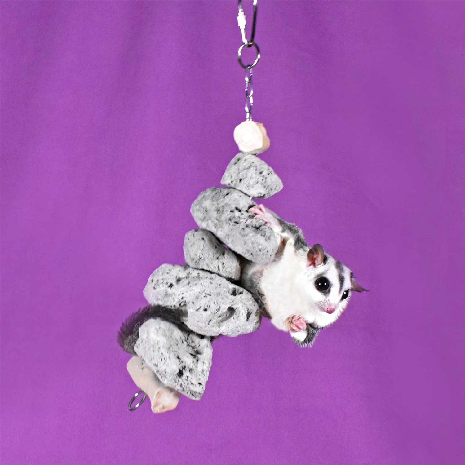 Exotic Nutrition Pumice Hanging Sugar Glider & Mouse Chew Toy 4 Exotic Nutrition Pumice Hanging Sugar Glider & Mouse Chew Toy - Image 4