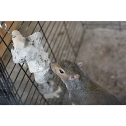 Exotic Nutrition Pumice Hanging Sugar Glider & Mouse Chew Toy 9 Exotic Nutrition Pumice Hanging Sugar Glider & Mouse Chew Toy -MiniMates Shop 710310 PT4. AC SS1800 V1668196017