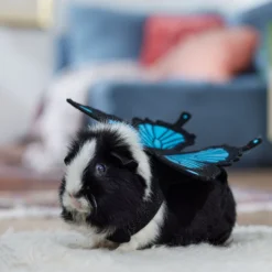 Frisco Small Pet Butterfly Wings -MiniMates Shop 714406 PT7. AC SS1800 V1688584657