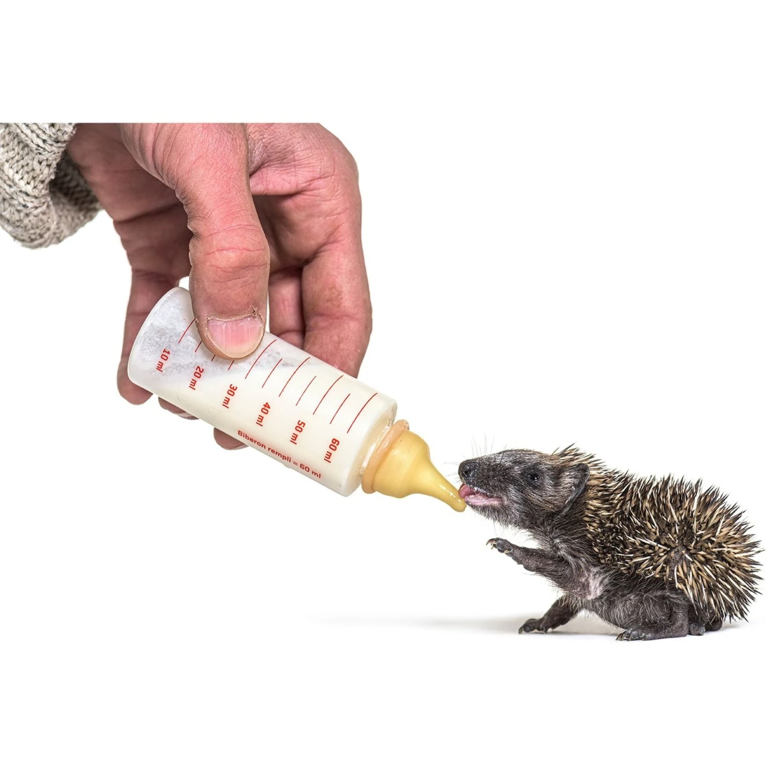 Exotic Nutrition Specialty Milk Replacer Small-Pet Milk Supplement, 8.8-oz Bag 3 Exotic Nutrition Specialty Milk Replacer Small-Pet Milk Supplement, 8.8-oz Bag - Image 3