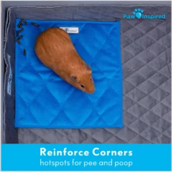 Paw Inspired Fleece Cage Liner Small Pet Pee Pads & Bedding, 12x12-in, 3 Count -MiniMates Shop 740998 PT5. AC SS1800 V1671211111