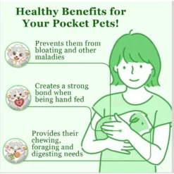 SunGrow Natural Timothy Hay Sticks Rabbit & Guinea Pig Treats, 4.7-in, 20 Count -MiniMates Shop 753030 PT2. AC SS1800 V1691166008