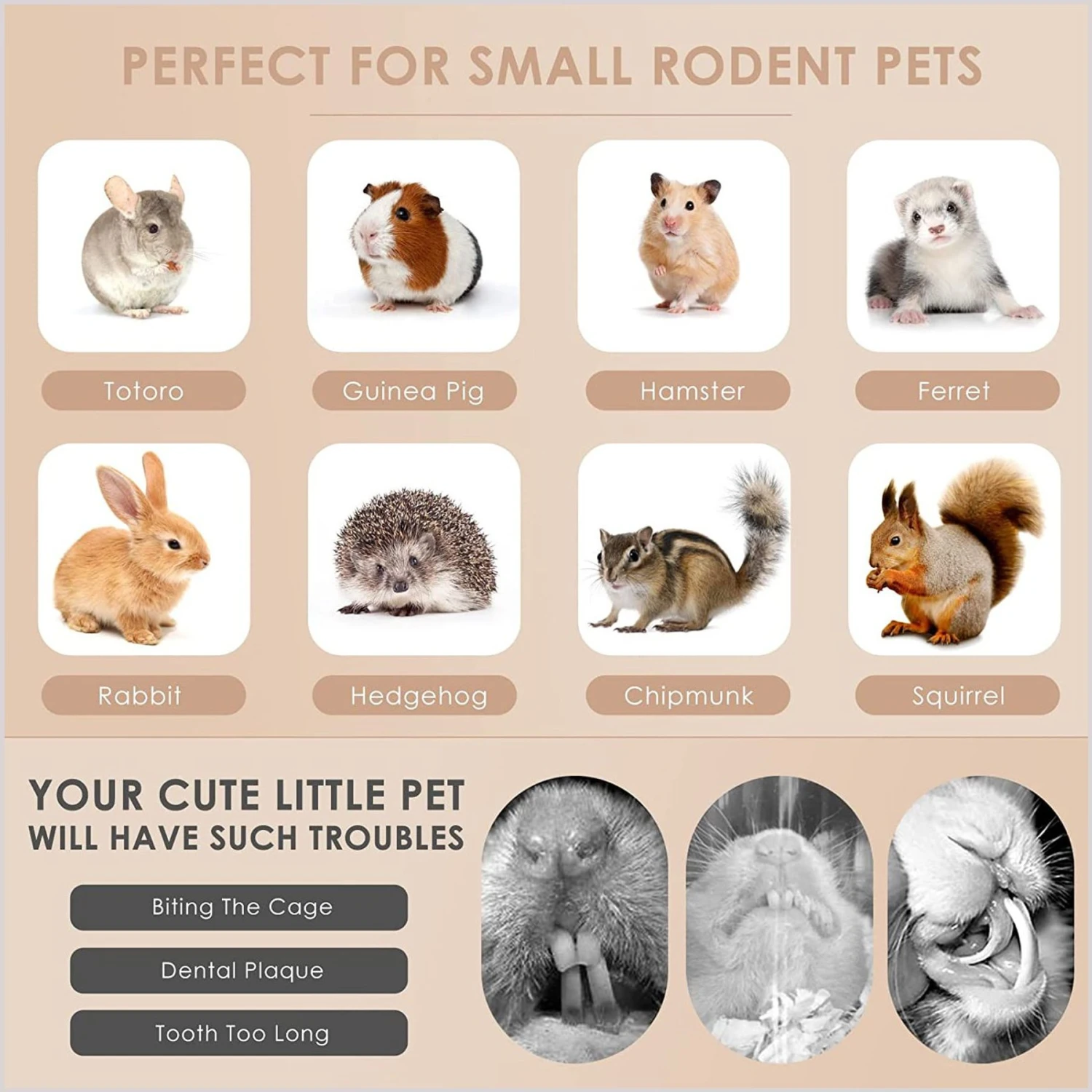 SunGrow Bunny Chew Small Pet Toy 6 SunGrow Bunny Chew Small Pet Toy - Image 6