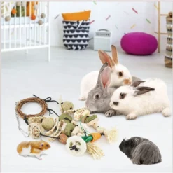 SunGrow Bunny Chew Small Pet Toy 13 SunGrow Bunny Chew Small Pet Toy -MiniMates Shop 753878 PT6. AC SS1800 V1672952122