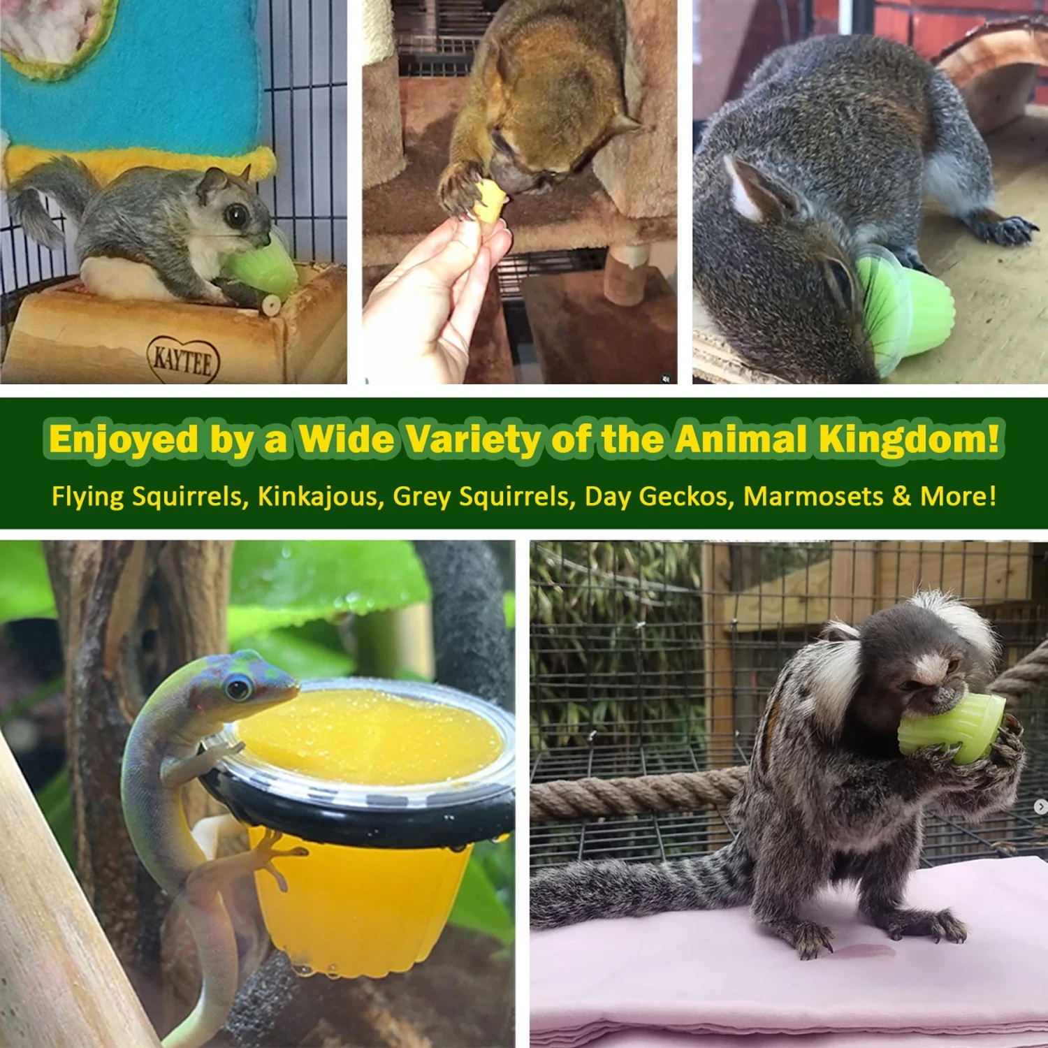 Exotic Nutrition Nectar Pods Honey Small Pet Treats, 16-gm, 8-pack 4 Exotic Nutrition Nectar Pods Honey Small Pet Treats, 16-gm, 8-pack - Image 4