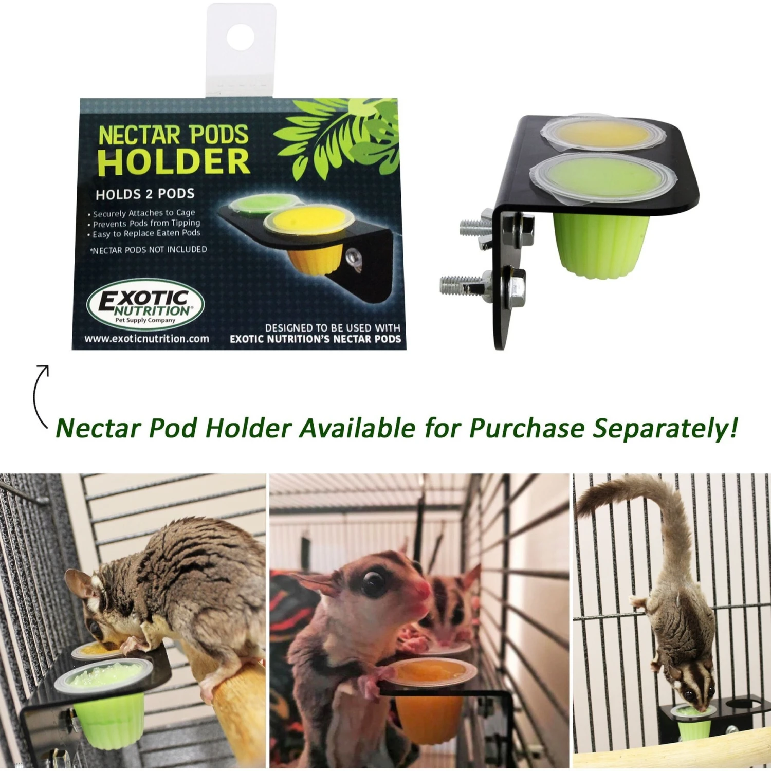 Exotic Nutrition Nectar Pods Honey Small Pet Treats, 16-gm, 8-pack 5 Exotic Nutrition Nectar Pods Honey Small Pet Treats, 16-gm, 8-pack - Image 5