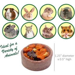 Exotic Nutrition Fruit & Veggie Tarts Small PetTreat, 1-oz Bag, 12 Count -MiniMates Shop 767406 PT4. AC SS1800 V1675276227