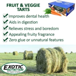 Exotic Nutrition Fruit & Veggie Tarts Small PetTreat, 1-oz Bag, 12 Count -MiniMates Shop 767406 PT5. AC SS1800 V1675276283