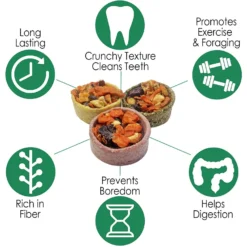 Exotic Nutrition Fruit & Veggie Tarts Small PetTreat, 1-oz Bag, 12 Count -MiniMates Shop 767406 PT6. AC SS1800 V1675276283