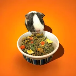 Sweet Meadow Farm Pellets PLUS + Guinea Pig Food 7 Sweet Meadow Farm Pellets PLUS + Guinea Pig Food -MiniMates Shop 767846 PT3. AC SS1800 V1675780610