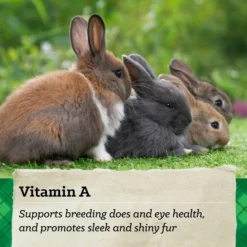 Nutrena NatureWise Premium Rabbit Food -MiniMates Shop 768094 PT6. AC SS1800 V1675434471