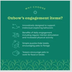 Oxbow Enriched Life Pyramid Treat Hanger Small Pet Toy -MiniMates Shop 782142 PT3. AC SS1800 V1679069466