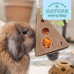 Oxbow Enriched Life Pyramid Treat Hanger Small Pet Toy -MiniMates Shop 782142 PT5. AC SS1800 V1678994054