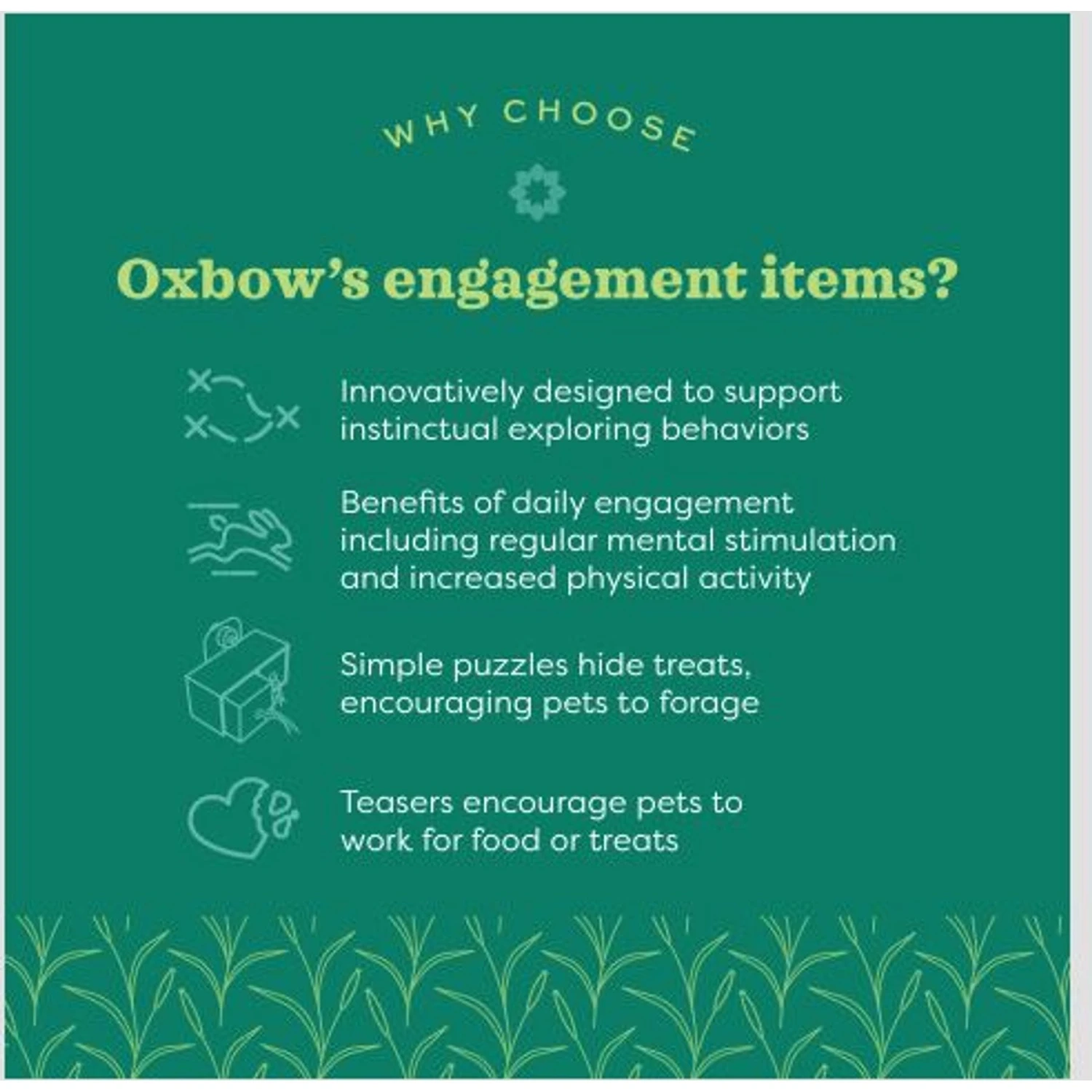 Oxbow Enriched Life Spin 'n Chew Small Pet Toy 5 Oxbow Enriched Life Spin 'n Chew Small Pet Toy - Image 5