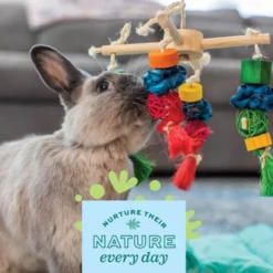 Oxbow Enriched Life Spin 'n Chew Small Pet Toy 11 Oxbow Enriched Life Spin 'n Chew Small Pet Toy -MiniMates Shop 782158 PT5. AC SS1800 V1678998267