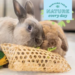 Oxbow Enriched Life Bamboo Play Pouch Small Pet Toy -MiniMates Shop 782174 PT5. AC SS1800 V1678999169