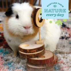 Oxbow Enriched Life Timber Treat Teaser Small Pet Toy -MiniMates Shop 782206 PT5. AC SS1800 V1679000983