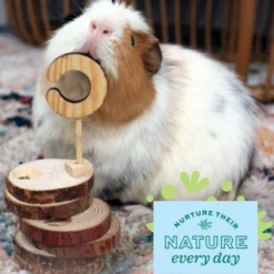 Oxbow Enriched Life Timber Treat Teaser Small Pet Toy -MiniMates Shop 782206 PT6. AC SS1800 V1679000863