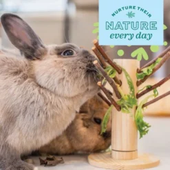 Oxbow Enriched Life Apple Twig Tree Small Pet Toy -MiniMates Shop 782222 PT7. AC SS1800 V1678998327