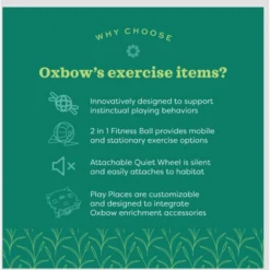 Oxbow Enriched Life Bamboo Ball Pit Small Pet Toy -MiniMates Shop 782238 PT4. AC SS1800 V1679069473