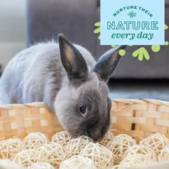 Oxbow Enriched Life Bamboo Ball Pit Small Pet Toy -MiniMates Shop 782238 PT5. AC SS1800 V1679000923