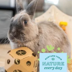 Oxbow Enriched Life Tumble 'n Toss Small Pet Toy 11 Oxbow Enriched Life Tumble 'n Toss Small Pet Toy -MiniMates Shop 782254 PT5. AC SS1800 V1678999166