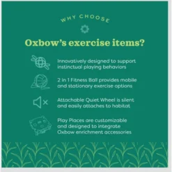 Oxbow Enriched Life Run 'n Rattle Small Pet Toy 10 Oxbow Enriched Life Run 'n Rattle Small Pet Toy -MiniMates Shop 782270 PT4. AC SS1800 V1679069474