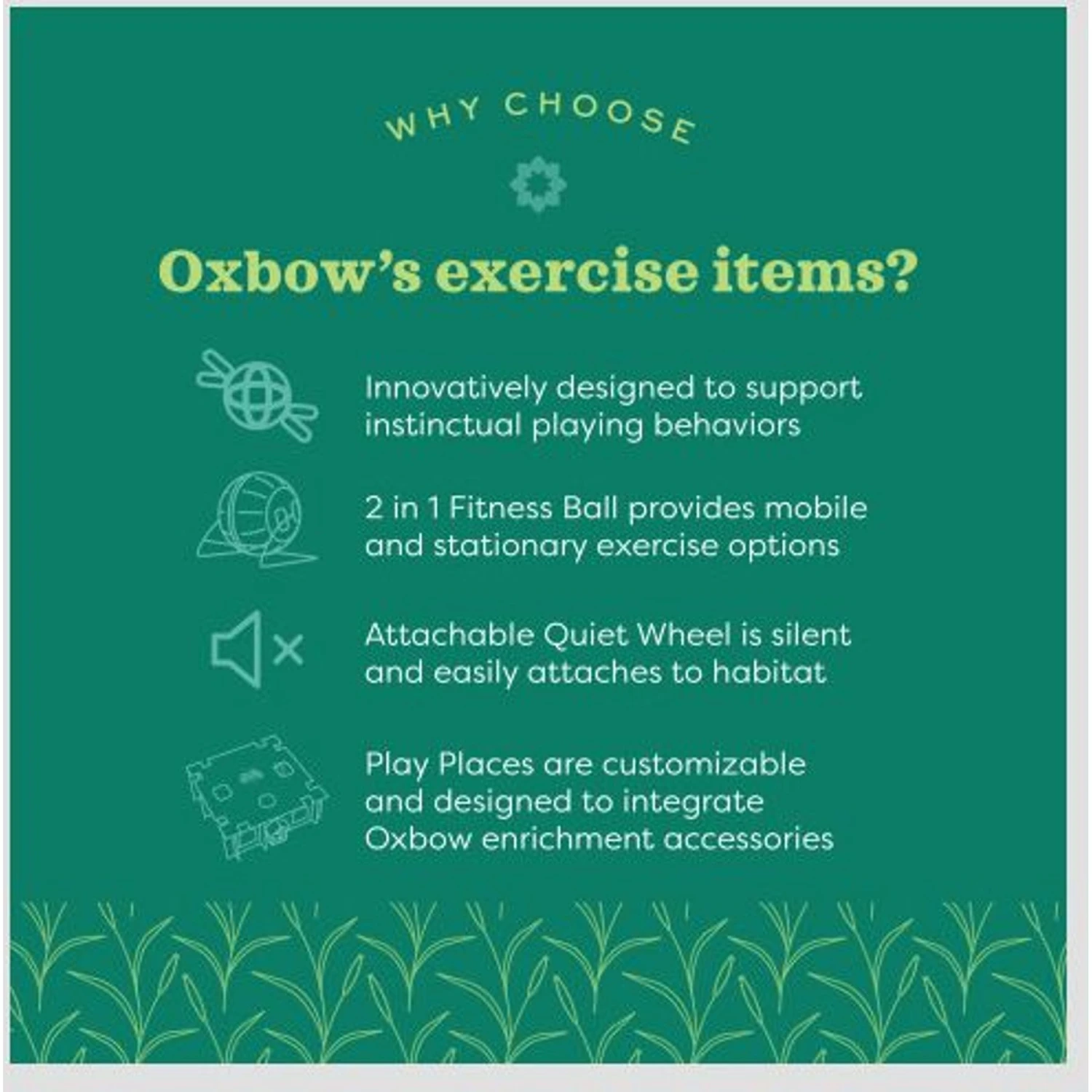 Oxbow Enriched Life Run 'n Rattle Small Pet Toy 5 Oxbow Enriched Life Run 'n Rattle Small Pet Toy - Image 5