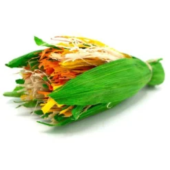 Oxbow Enriched Life Celebration Bouquet Small Pet Toy -MiniMates Shop 782286 PT2. AC SS1800 V1678994057