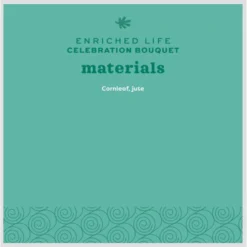 Oxbow Enriched Life Celebration Bouquet Small Pet Toy -MiniMates Shop 782286 PT3. AC SS1800 V1679069717