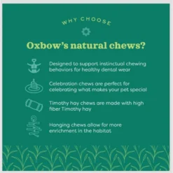 Oxbow Enriched Life Celebration Bouquet Small Pet Toy -MiniMates Shop 782286 PT4. AC SS1800 V1679069412