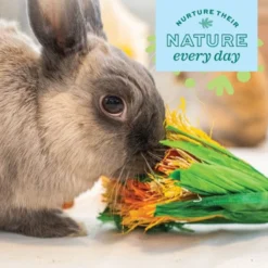 Oxbow Enriched Life Celebration Bouquet Small Pet Toy -MiniMates Shop 782286 PT5. AC SS1800 V1678998329