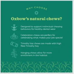 Oxbow Enriched Life Birthday Party Pack Small Pet Toy 16 Oxbow Enriched Life Birthday Party Pack Small Pet Toy -MiniMates Shop 782302 PT7. AC SS1800 V1679069406