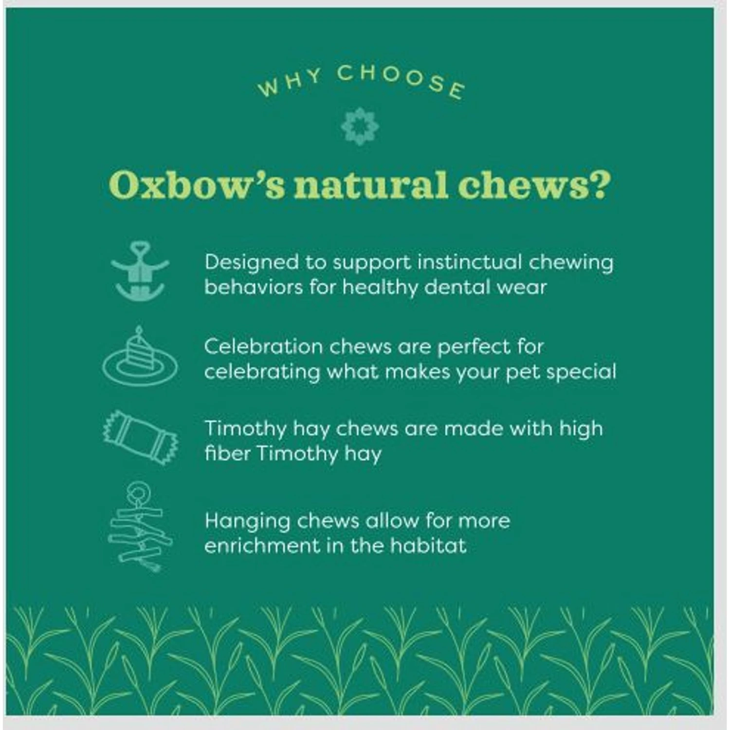 Oxbow Enriched Life Birthday Party Pack Small Pet Toy 8 Oxbow Enriched Life Birthday Party Pack Small Pet Toy - Image 8