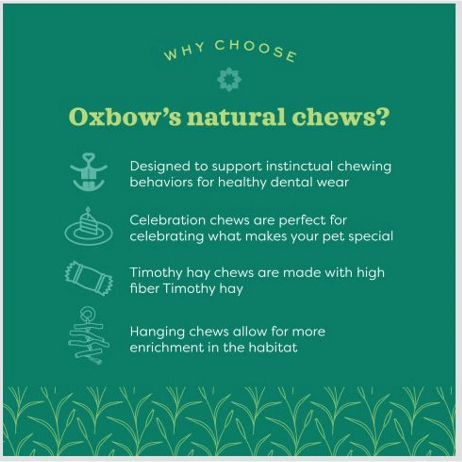 Oxbow Enriched Life Natural Dangly Party Pack Small Pet Toy 8 Oxbow Enriched Life Natural Dangly Party Pack Small Pet Toy - Image 8