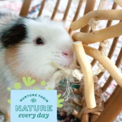 Oxbow Enriched Life Natural Dangly Party Pack Small Pet Toy 17 Oxbow Enriched Life Natural Dangly Party Pack Small Pet Toy -MiniMates Shop 782318 PT8. AC SS1800 V1678994048