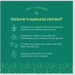 Oxbow Enriched Life Celebration Heart Small Pet Toy -MiniMates Shop 782334 PT4. AC SS1800 V1679069529