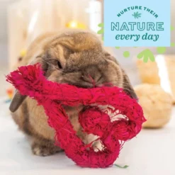 Oxbow Enriched Life Celebration Heart Small Pet Toy -MiniMates Shop 782334 PT5. AC SS1800 V1678999700